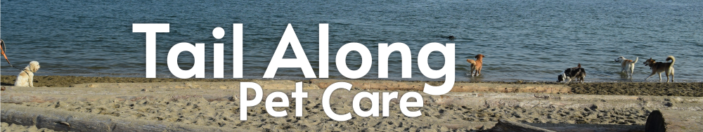 dogs on a kits beach